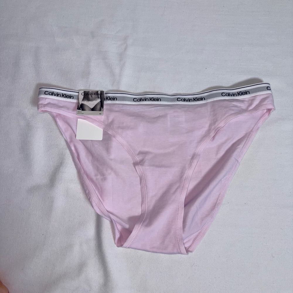 Calvin Klein Bikini Underwear Size Medium Pink New Icon Logo Waistband panties